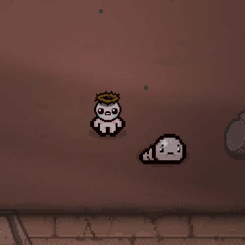 The effect of the T1NY D0ME seed